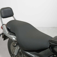 Bajaj Avenger Street 220