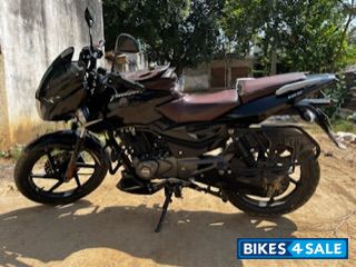 Black Bajaj Pulsar 125 Split Seat