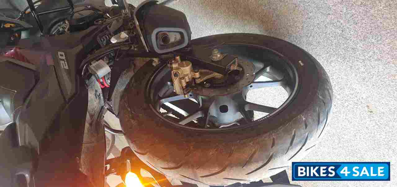 Matt Gray Honda Hornet 2.0