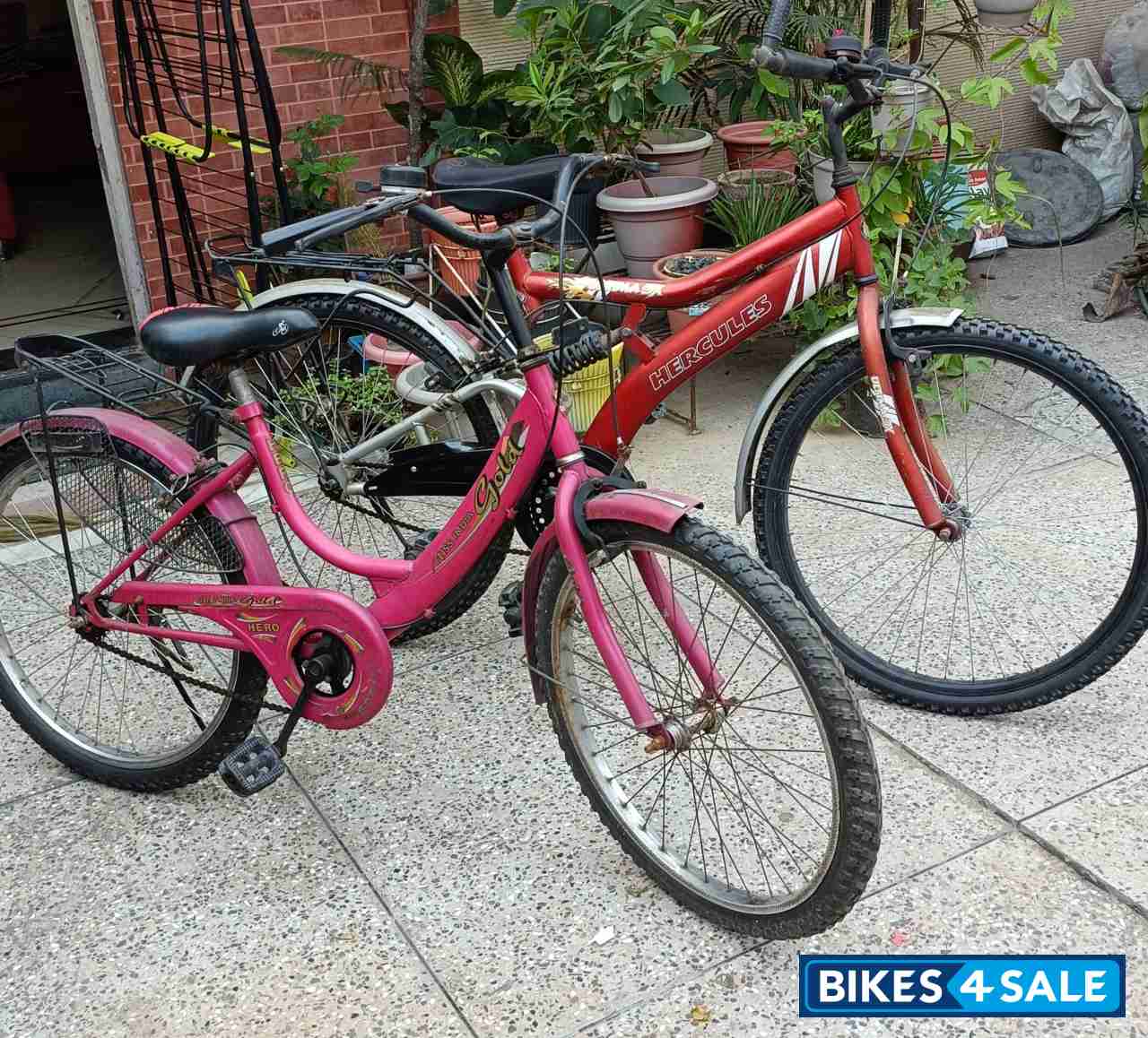 Pink Hero Cycles Miss India