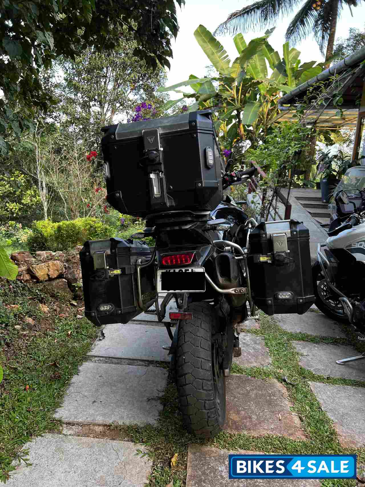 Sapphire Black Triumph Tiger 900 Rally Pro