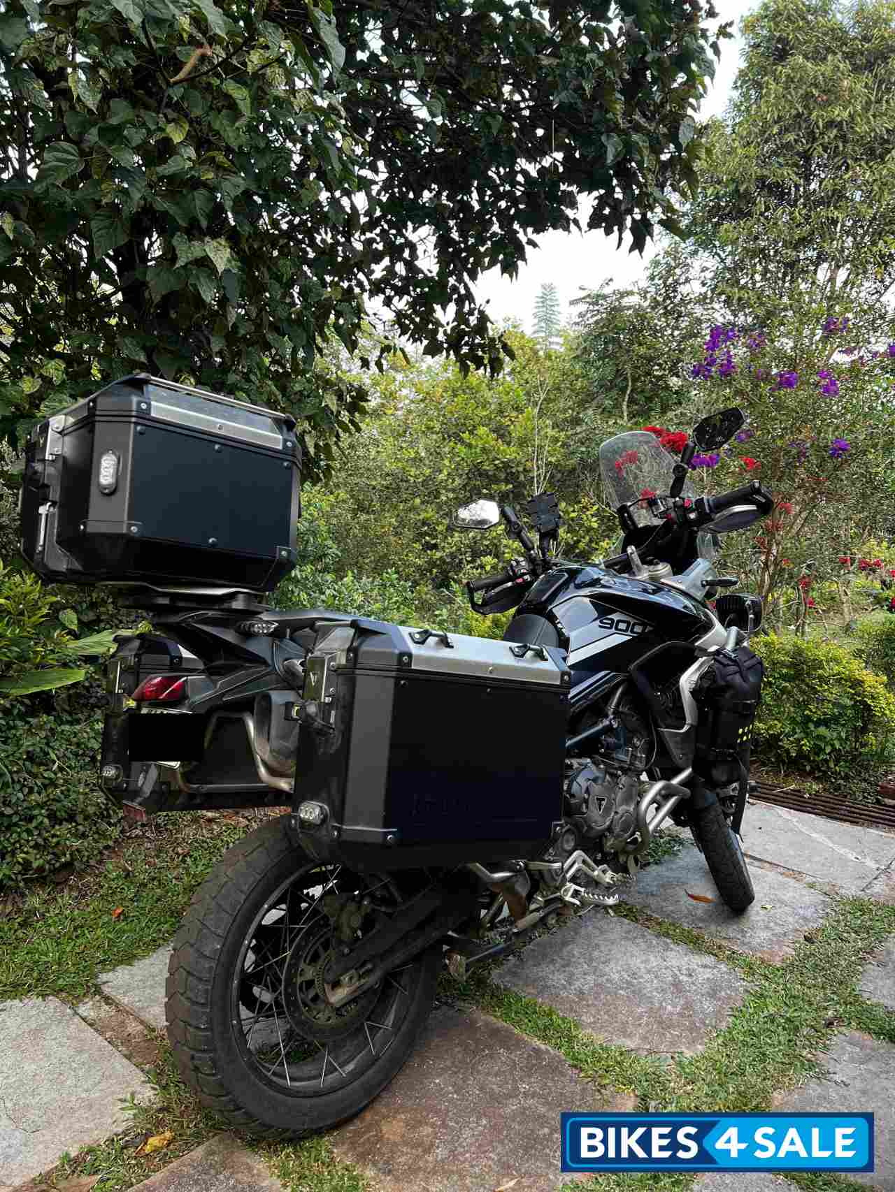 Sapphire Black Triumph Tiger 900 Rally Pro