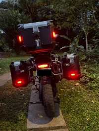 Sapphire Black Triumph Tiger 900 Rally Pro