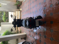 Suzuki Avenis 125 Ride Connect Edition