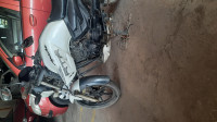 Pearl TVS Apache RTR 180