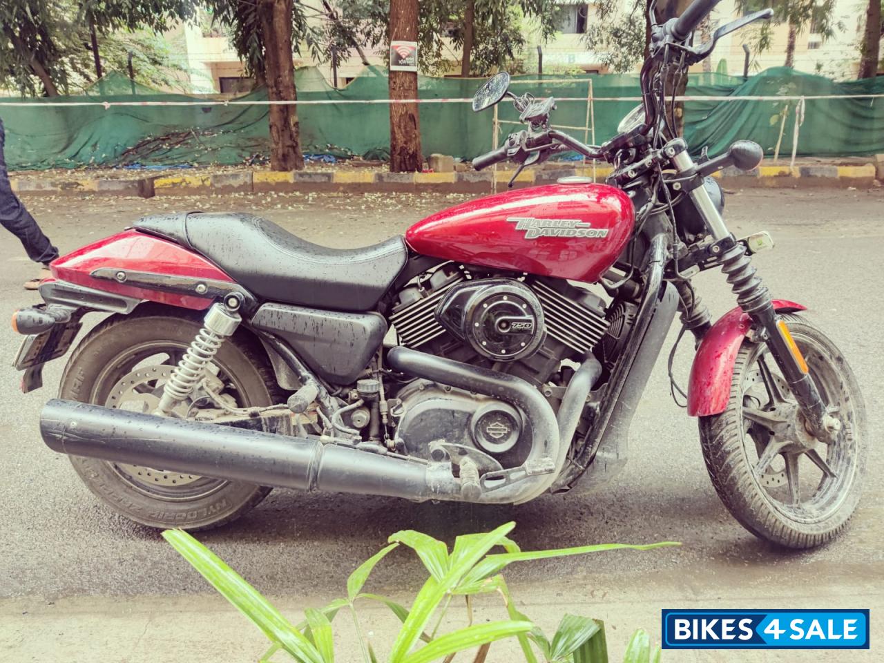 Harley Davidson Street 750