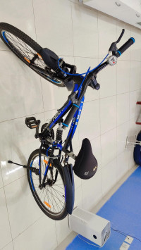 Bicycle Tanry Roadmaster 1.1