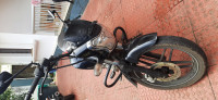 Ebony Black Bajaj  V15