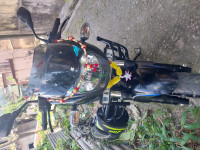 Bajaj Pulsar 150 Twin Disc 2018 Model