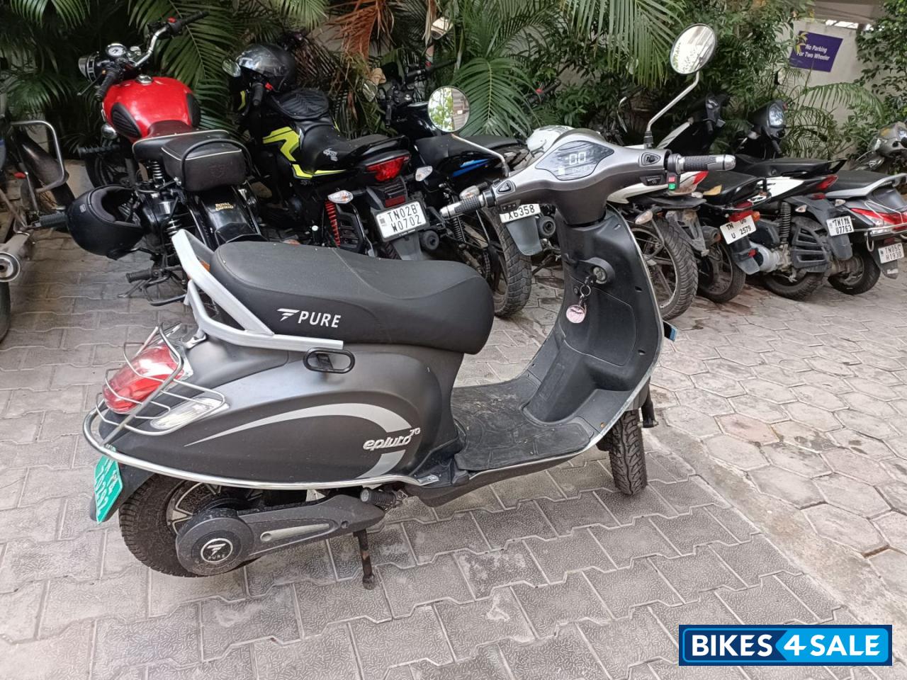 Grey Pure EV epluto 7G