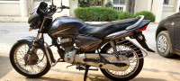 Honda CB Shine 2008 Model