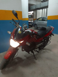 Wine Bajaj Pulsar 150 DTSi