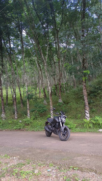Bajaj 2021 Dominar 400