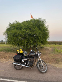 Royal Enfield Thunderbird 500