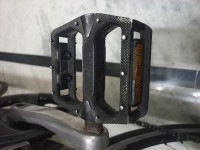 Bicycle Bianchi Camaleonte Sport