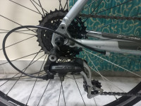 Bicycle Bianchi Camaleonte Sport