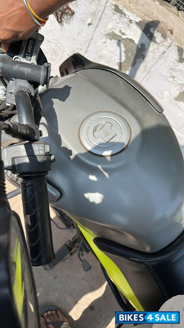 Grey Green Hero Glamour