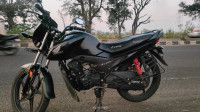 Black Honda Livo