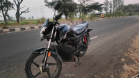 Black Honda Livo
