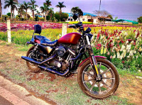 Harley Davidson Iron 883