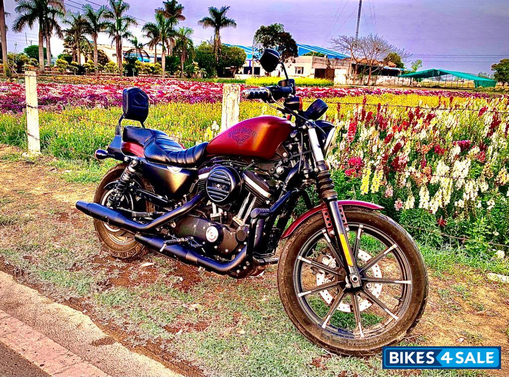 Harley Davidson Iron 883