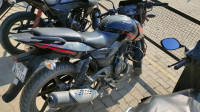 Ebony Red Black Bajaj Pulsar 150 Twin Disc BS6