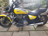 Yellow Triumph Thunderbird