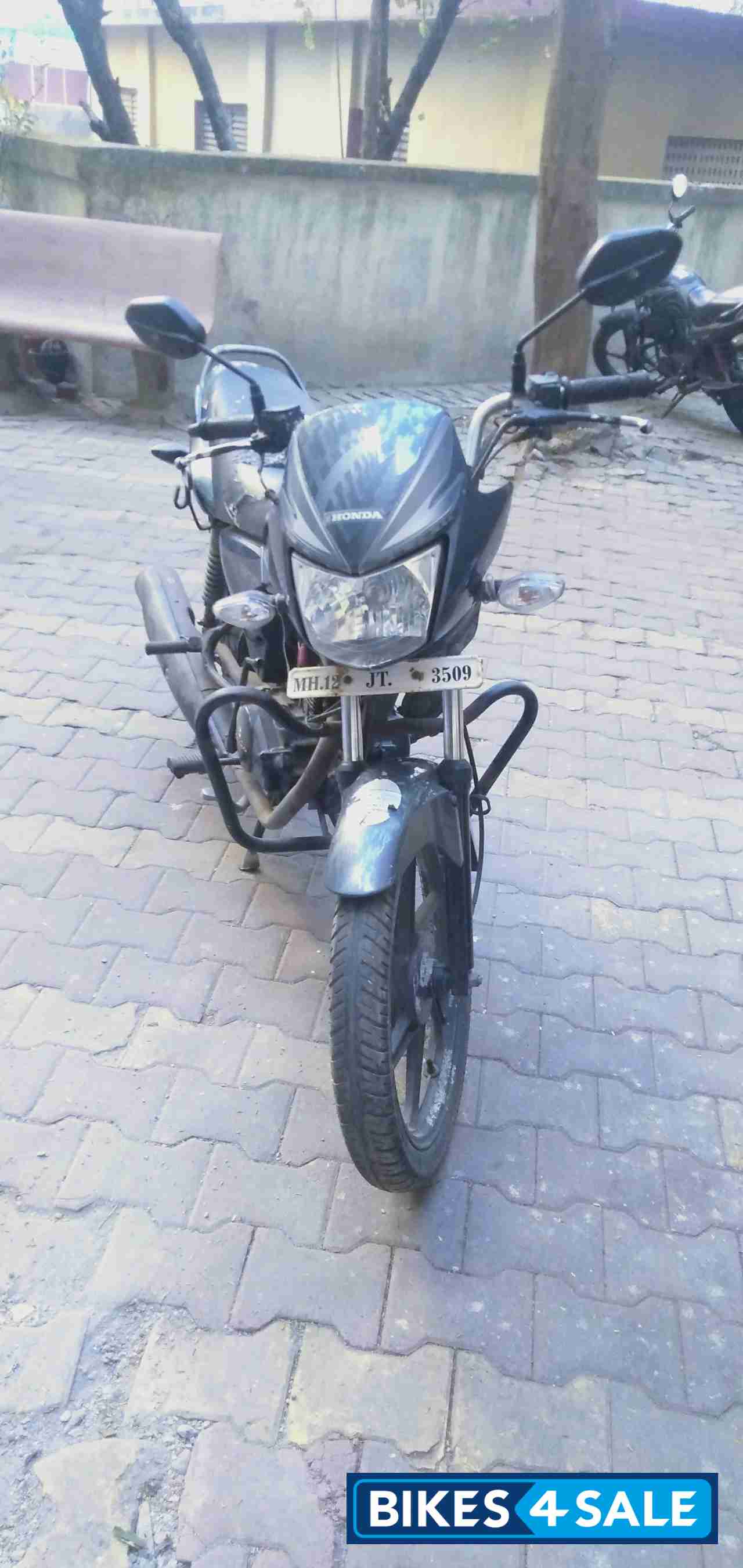 Monsoon Grey Honda Shine