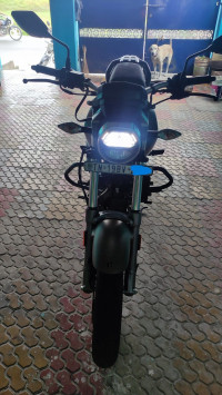 Mate Shield Gold Hero XPulse 200T BS6