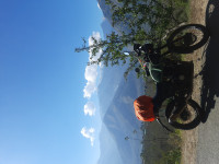 Pine Green Royal Enfield Himalayan BS VI