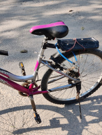 Bicycle Firefox 2018 Model