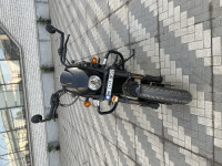 Black Harley Davidson Street Rod