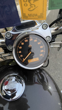 Sumatra Brown Harley Davidson 1200 Custom