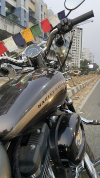 Sumatra Brown Harley Davidson 1200 Custom