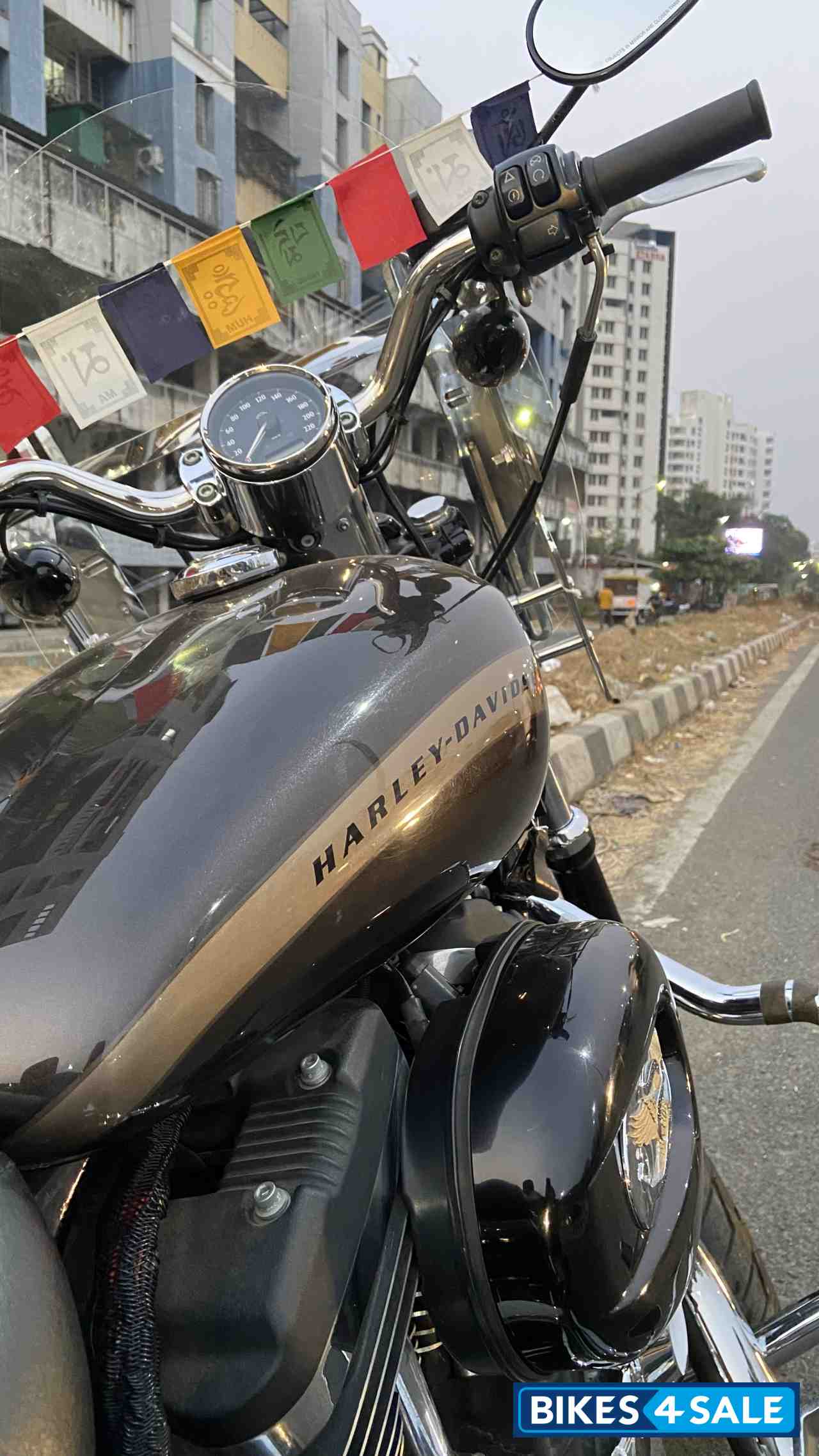 Sumatra Brown Harley Davidson 1200 Custom