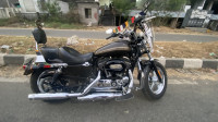 Sumatra Brown Harley Davidson 1200 Custom