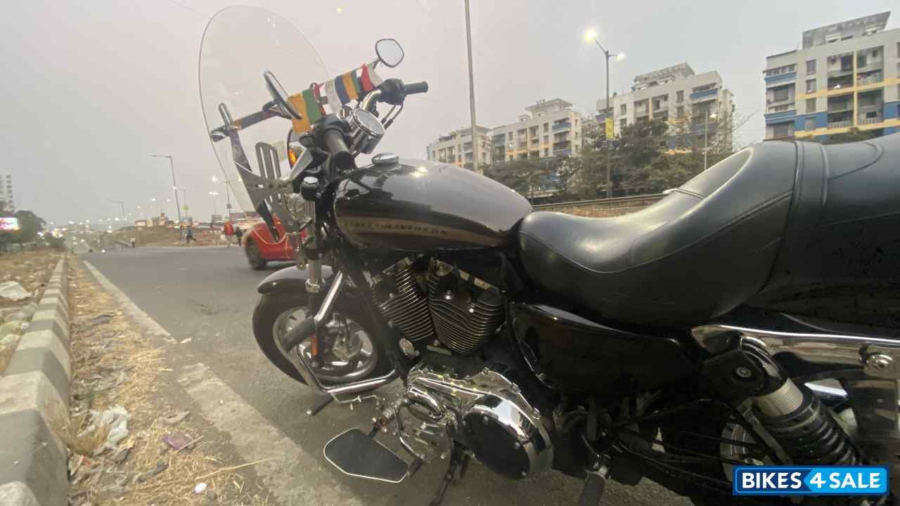 Sumatra Brown Harley Davidson 1200 Custom