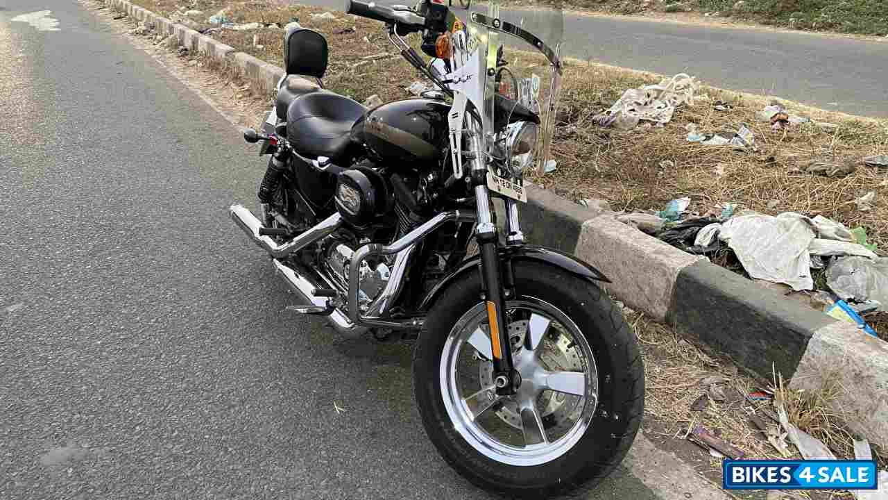 Sumatra Brown Harley Davidson 1200 Custom