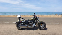 Harley Davidson Dyna Fat Bob FXDF 2016 Model