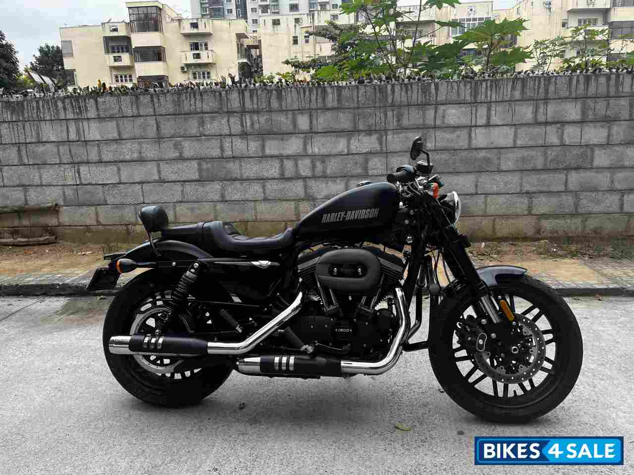 Mat Black Harley Davidson Roadster
