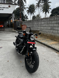 Mat Black Harley Davidson Roadster