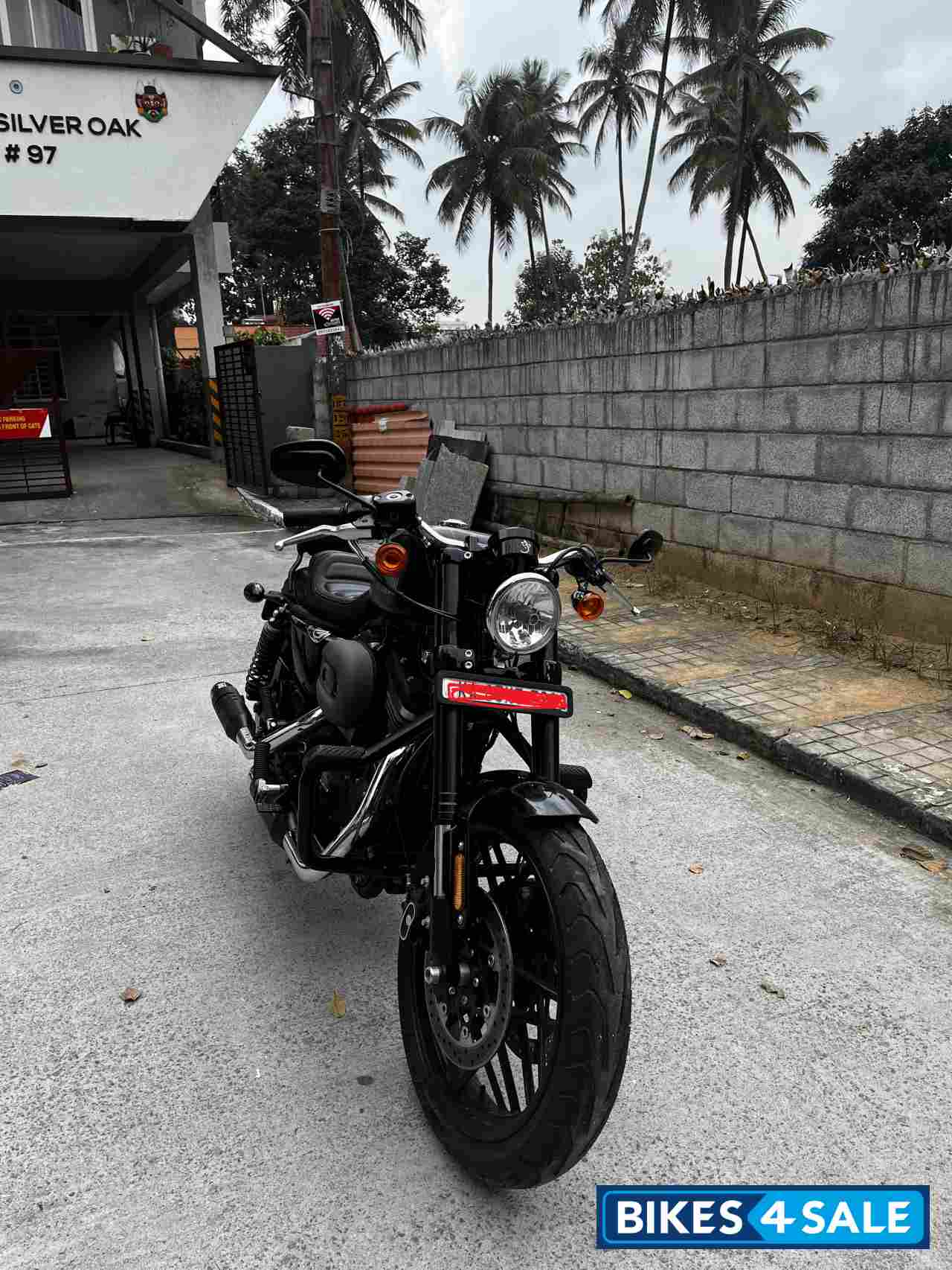 Mat Black Harley Davidson Roadster