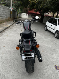 Mat Black Harley Davidson Roadster