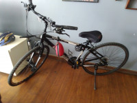 Bicycle Bianchi Spillo 2019 Model