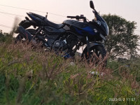 Ebony Blk Blue Bajaj Pulsar 220 DTSFi