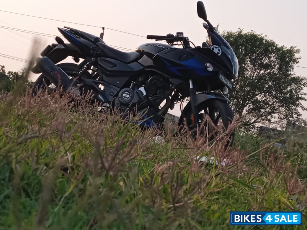 Ebony Blk Blue Bajaj Pulsar 220 DTSFi
