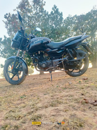 Bajaj Pulsar 125 Neon Disc Single Seat 2020 Model