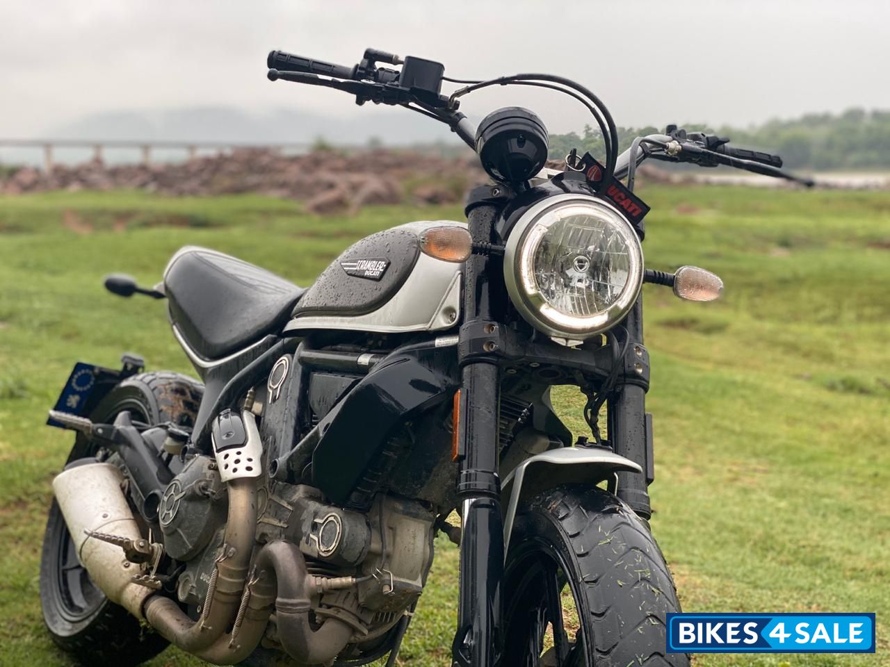 Iceberg Silver Ducati Scrambler Icon