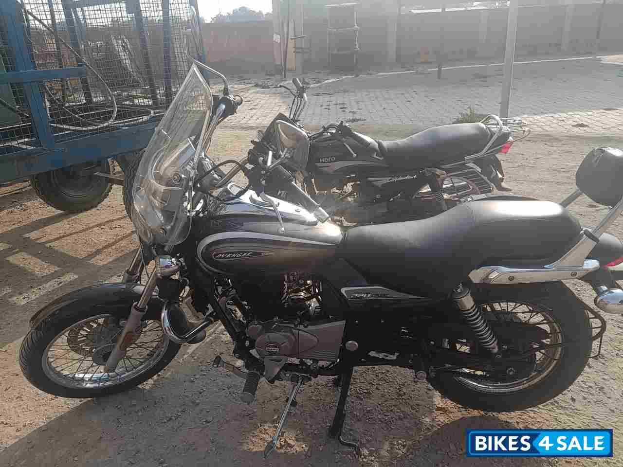 Grey Bajaj Avenger Cruise 220 BS6