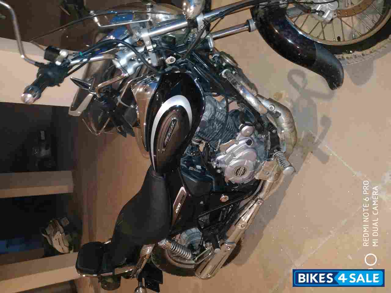 Auburn Black Bajaj Avenger Cruise 220 BS6